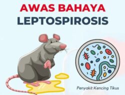 Wabah Kencing Tikus Melanda Jatim, 133 Orang Terinfeksi di Kabupaten Pacitan dan 6 Meninggal Dunia