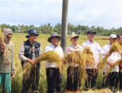 Surplus 40.550 Ton Beras, Al-Muktabar: Petani Adalah Pahlawan Kita