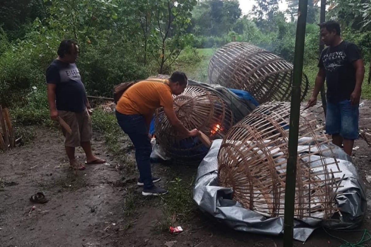 Polres Jombang Gerebek Lokasi Judi Sabung Ayam, 2 Orang Ditangkap