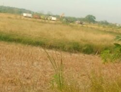 Galian C Diduga Ilegal Beroperasi di Area Persawahan Benjeng-Gresik, LSM FAAM Jatim: Kita Akan Koordinasi dengan Kepolisian dan Satpol PP