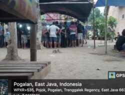 Lapor Pak! Sabung Ayam dan Dadu Beroperasi di Trenggalek