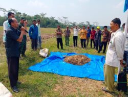 Tingkatkan Produksi Pertanian, DPKP Adakan Sekolah Lapang se-Kabupaten Pandeglang