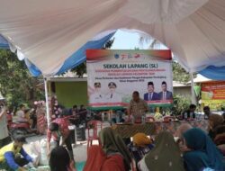 Pemkab Pandeglang Gelar “SEKOLAH LAPANGAN” untuk Petani