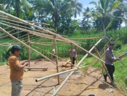 Polisi Gerebek dan Bongkar Arena Judi Sabung Ayam di Gedangan Malang