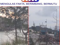 Puluhan Ponton Tambang Timah Tower Beraktivitas di Hutan Lindung Sinar Baru, Dugaan Pembiaran APH Setempat