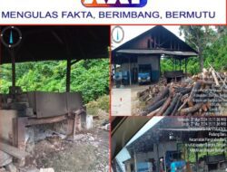 Tempat Penggorengan, Penampung Dan Pembeli Pasir Timah, Sang Kolektor Ternama Ale Merasa Kebal Hukum, Diduga Pembiaran Oleh APH