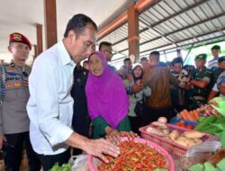 Kunjungi Pasar Sebukit Rama, Presiden Jokowi: Harga Baik dan Stabil