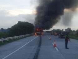 Pecah Ban dan Bergesekan dengan Beton, Bus Pahala Kencana Terbakar di Tol Jombang-Mojokerto
