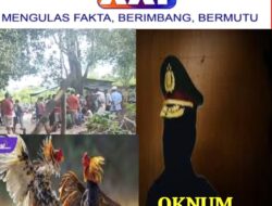 Wow, Benarkan Oknum Penegak Hukum Basel Memiliki Tempat Area Perjudian Sabung Ayam 303? Seperti Halnya Dikatakan Oleh Narasumber!