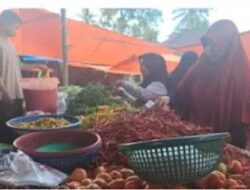 Jelang Ramadhan, Dinas Perikanan dan Pangan Pasaman Pantau Pantau Ketersediaan Bahan