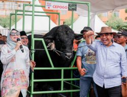 Muzani Hadiri Kontes Sapi APPSI, Singgung Program Makan Siang Gratis Prabowo-Gibran