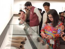 Hari Museum Sedunia, Zhengzhou Gelar Pameran Interaktif