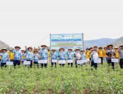 Cegah Krisis Pangan, BMKG Dorong Petani Milenial Sadar Iklim