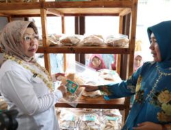 Plh Sekda Virgojanti Ajak UMKM Manfaatkan Potensi Pengunjung Kawasan Geopark Bayah Dome