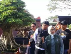 Kontes Bonsai Nasional Meriahkan Hari Jadi Blitar ke-700