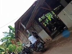 Sabung Ayam dan Dadu di Desa Tasikmadu Watulimo Trenggalek Kian Meresahkan, Warga Desak Tindakan Hukum