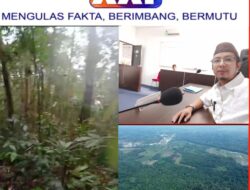 Dugaan Jual Beli Lahan Hutan di Desa Bencah, Ketua LBH PKBBB Mulai Bertindak