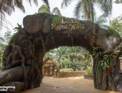 Enchanting Valley: Destinasi Baru di Puncak yang Wajib Dikunjungi