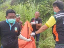 Heboh! Kerangka Manusia Ditemukan di Bekas Galian Gresik