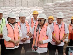 Tinjau Ketersediaan Pupuk, Pj Gubernur Damenta Sebut Provinsi Banten Siap Swasembada Pangan