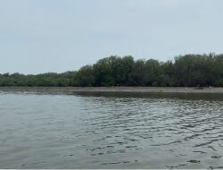 Kasus HGB di Laut Sidoarjo, Polisi Belum Tetapkan Tersangka