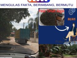 Sebuah Gudang Pengolahan Pasir Timah Milik Ahon Tanpa Tersentuh Oleh Penegak Hukum, Kapolres Bungkam Saat Dikonfirmasi