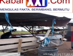 Meja Goyang Pasir Timah Diduga Tak Berizin Di Air Mawar Kota Pangkalpinang Bebas Beroperasi