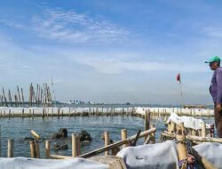 Polisi Sebut Sertifikat Pagar Laut di Bekasi Digadai ke Bank Swasta