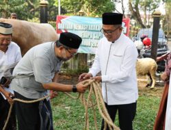 Saksikan Penyembelihan Hewan Kurban Presiden Prabowo, Gubernur Andra Soni: Kita Salurkan ke Masyarakat