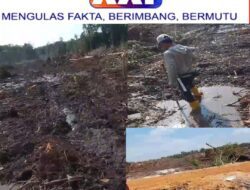 Petani Teriak, Tanah Negara Dikuasai Sepihak: Bupati Bangka Selatan Diminta Tidak Hanya Main TikTok, Tapi Tegakkan Perda