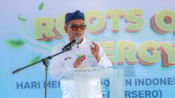 Perkuat Sabuk Hijau Pesisir, Gubernur Andra Soni Ajak Masyarakat Rawat Mangrove