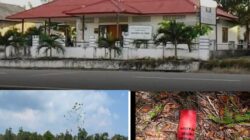 Kades Pergam dan Camat Air Gegas Bungkam Terkait Dugaan Jual Beli Lahan Desa