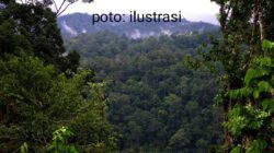 Jual Beli Tanah Negara Tanpa Alas Hak, Kades Bencah Akui Transaksi 2,5 Hektare