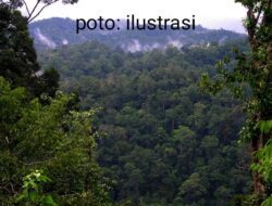 Jual Beli Tanah Negara Tanpa Alas Hak, Kades Bencah Akui Transaksi 2,5 Hektare