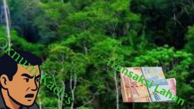 Transaksi Lahan Tanpa Alas Hak di Desa Bencah, Warga Sebut Masih Hutan Alam