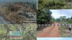 Ratusan Hektar Hutan Lindung di Desa Belilik Dikuasai oleh Pengusaha Secara Ilegal, Dijadikan Kebun Sawit