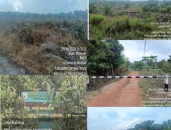 Ratusan Hektar Hutan Lindung di Desa Belilik Dikuasai oleh Pengusaha Secara Ilegal, Dijadikan Kebun Sawit