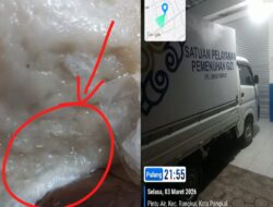 Skandal Makanan Bergizi Gratis: Empek-Empek Berulat Nyaris Dikonsumsi Siswa, Ancaman Pidana Mengintai